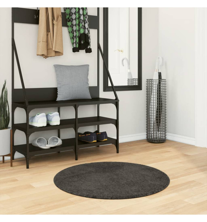 Tapis ISTAN à poils longs aspect brillant anthracite Ø 80 cm | Mobilier & Déco