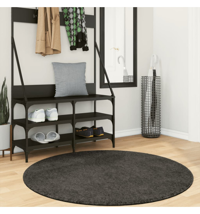 Tapis ISTAN à poils longs aspect brillant anthracite Ø 120 cm | Mobilier & Déco