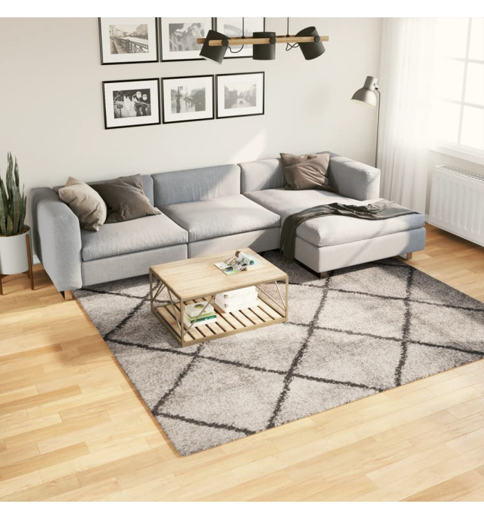 Tapis shaggy à poils longs moderne beige anthracite 240x240 cm | Mobilier & Déco