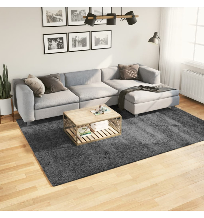 Tapis OVIEDO à poils courts anthracite 200x280 cm | Mobilier & Déco