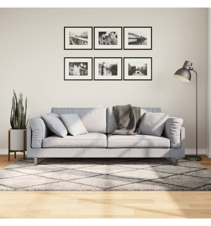 Tapis shaggy à poils longs moderne beige anthracite 140x200 cm | Mobilier & Déco