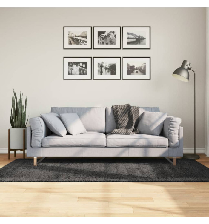 Tapis shaggy PAMPLONA poils longs moderne anthracite 100x200 cm | Mobilier & Déco