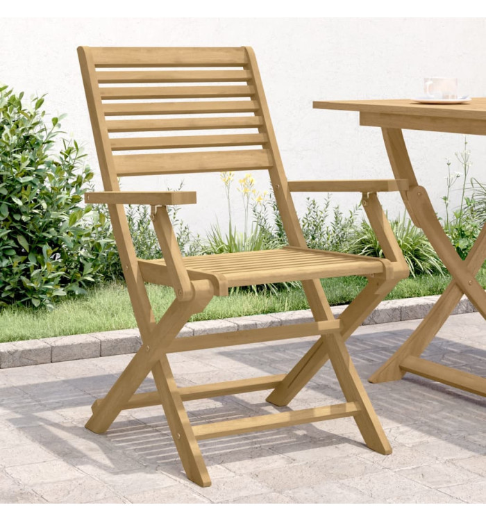 Chaises pliables de jardin lot de 2 bois massif d'acacia | Mobilier & Déco