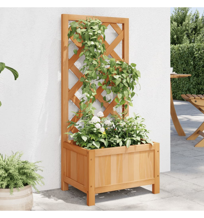 Jardinière avec treillis marron bois massif de sapin | Mobilier & Déco