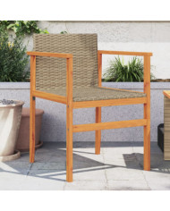 Chaises de jardin lot de 2 beige résine tressée et bois massif | Mobilier & Déco