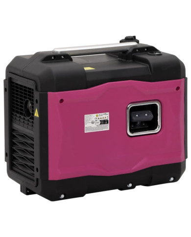 Générateur à essence portable 2900 W 4 temps | Mobilier & Déco