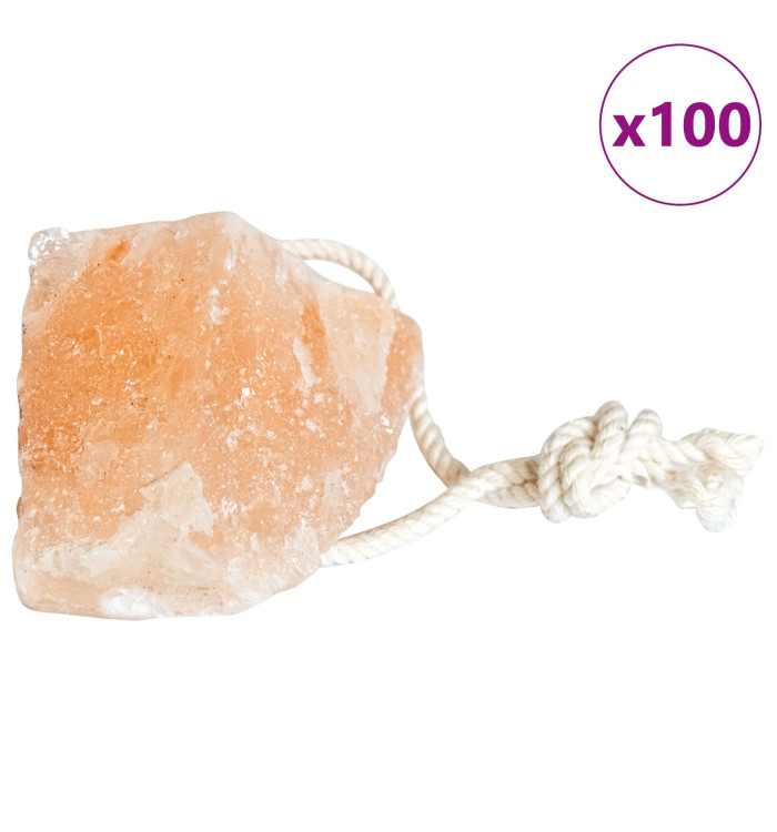 Pierres à lécher 100 pcs avec cordes pour le bétail 12,5 kg Rose | Mobilier & Déco