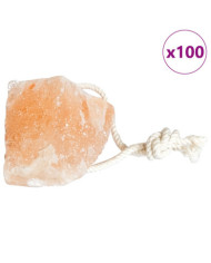 Pierres à lécher 100 pcs avec cordes pour le bétail 12,5 kg Rose | Mobilier & Déco