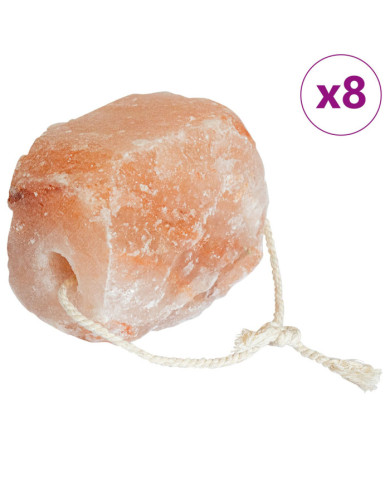 Blocs à lécher de sel 8 pcs avec cordes pour bétail 20 kg Rose | Mobilier & Déco