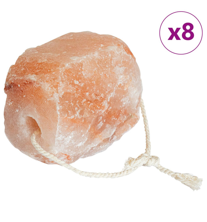 Blocs à lécher de sel 8 pcs avec cordes pour bétail 20 kg Rose | Mobilier & Déco