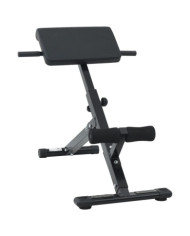 Banc hyperextension 120 kg pliable et ajustable en acier | Mobilier & Déco