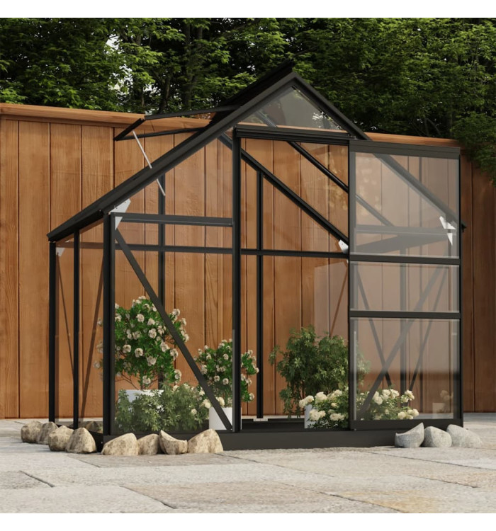 Serre en verre Anthracite 155x103x191 cm Aluminium | Mobilier & Déco