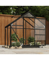 Serre en verre Anthracite 155x103x191 cm Aluminium | Mobilier & Déco