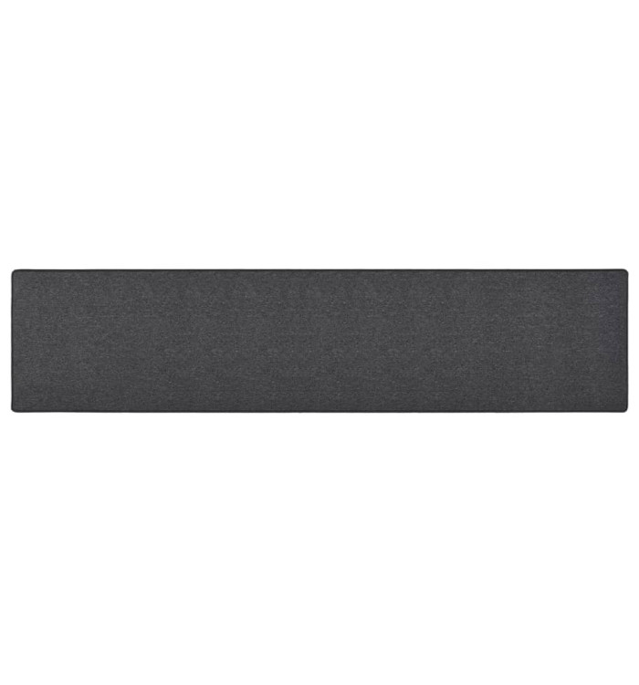 Tapis de couloir Anthracite 80x400 cm | Mobilier & Déco