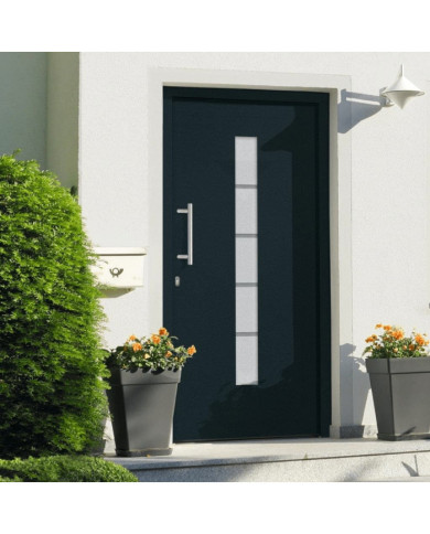 Porte d'entrée Aluminium et PVC Anthracite 100x200 cm | Mobilier & Déco