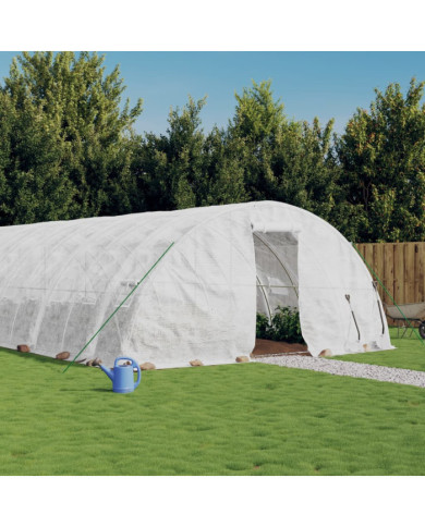 Serre avec cadre en acier blanc 120 m² 24x5x2,3 m | Mobilier & Déco