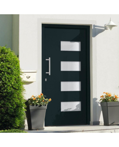 Porte d'entrée Aluminium et PVC Anthracite 100x200 cm | Mobilier & Déco
