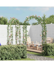 Arche de jardin 2 pcs pour plantes grimpantes | Mobilier & Déco