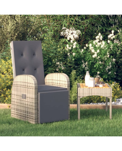 Chaise inclinable de jardin et coussin Résine tressée Gris | Mobilier & Déco