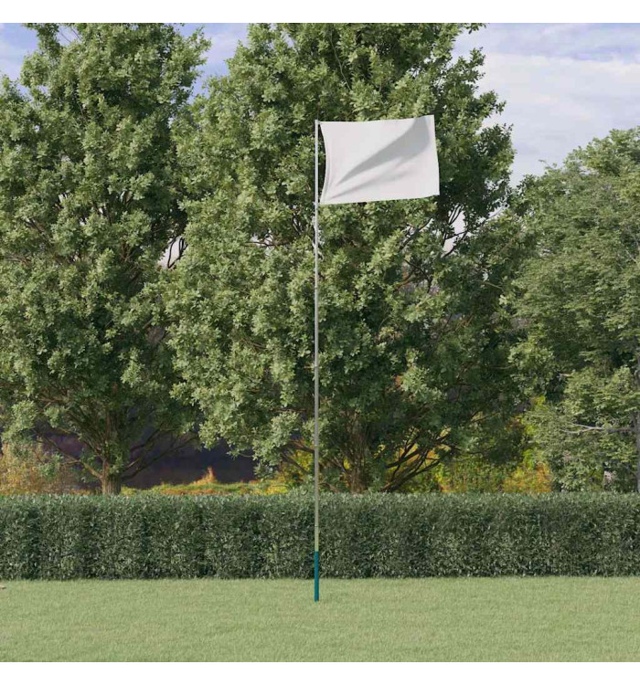Mât de drapeau télescopique Argenté 5,55 m Aluminium | Mobilier & Déco