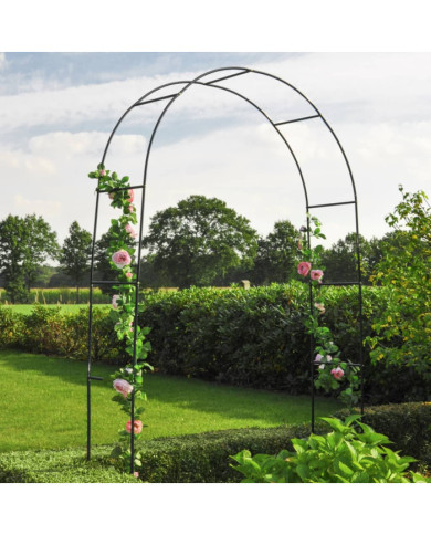 HI Voûte de rosiers Vert 140 x 38 x 240 cm Acier | Mobilier & Déco