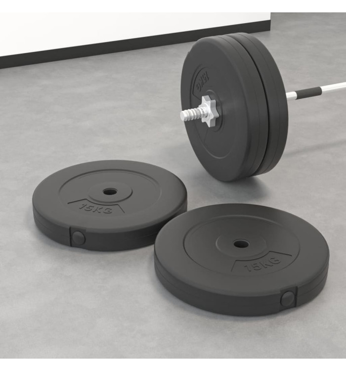 Plaques de poids 2 pcs 30 kg Béton | Mobilier & Déco