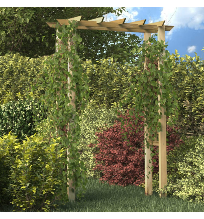 Arche pour rosiers 150 x 60 x 204 cm bois imprégné | Mobilier & Déco
