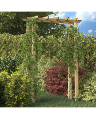 Arche pour rosiers 150 x 60 x 204 cm bois imprégné | Mobilier & Déco