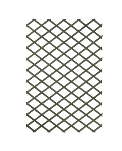Nature Palissades de jardin 2 pcs 100 x 200 cm Bois Vert | Mobilier & Déco