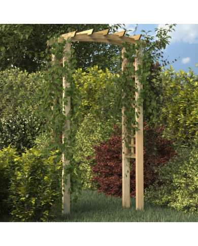 Arche en treillis 110x60x210 cm Bois de pin massif imprégné | Mobilier & Déco
