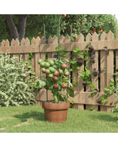 Supports pour plantes de jardin 3 anneaux 5pcs Vert 60 cm Acier | Mobilier & Déco