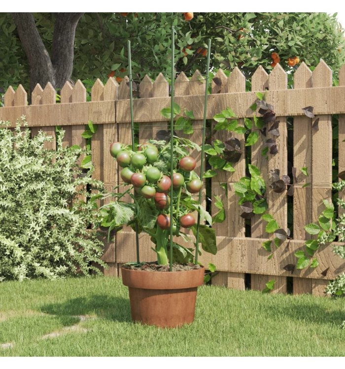 Supports pour plantes de jardin 3 anneaux 5pcs Vert 60 cm Acier | Mobilier & Déco