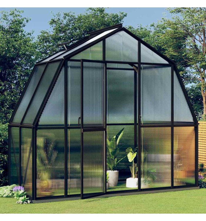 Serre avec cadre de base anthracite 3,3 m² aluminium | Mobilier & Déco