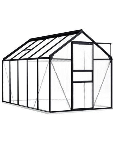 Serre avec cadre de base Anthracite Aluminium 5,89 m² | Mobilier & Déco