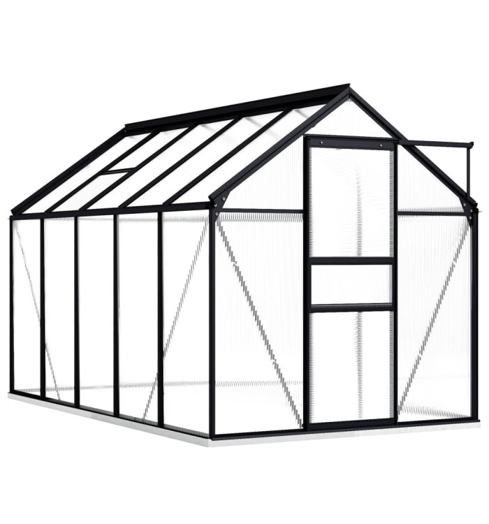 Serre avec cadre de base Anthracite Aluminium 5,89 m² | Mobilier & Déco