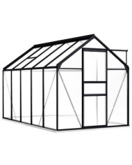 Serre avec cadre de base Anthracite Aluminium 5,89 m² | Mobilier & Déco
