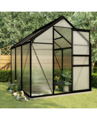 Serre avec cadre de base Anthracite Aluminium 3,61 m² | Mobilier & Déco