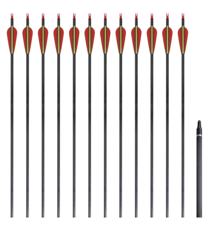 Flèche d'arc recourbé standard 12 pcs 30" 0,76 cm carbone | Mobilier & Déco