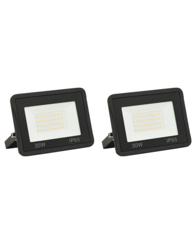 Projecteurs à LED 2 pcs 30 W Blanc froid | Mobilier & Déco