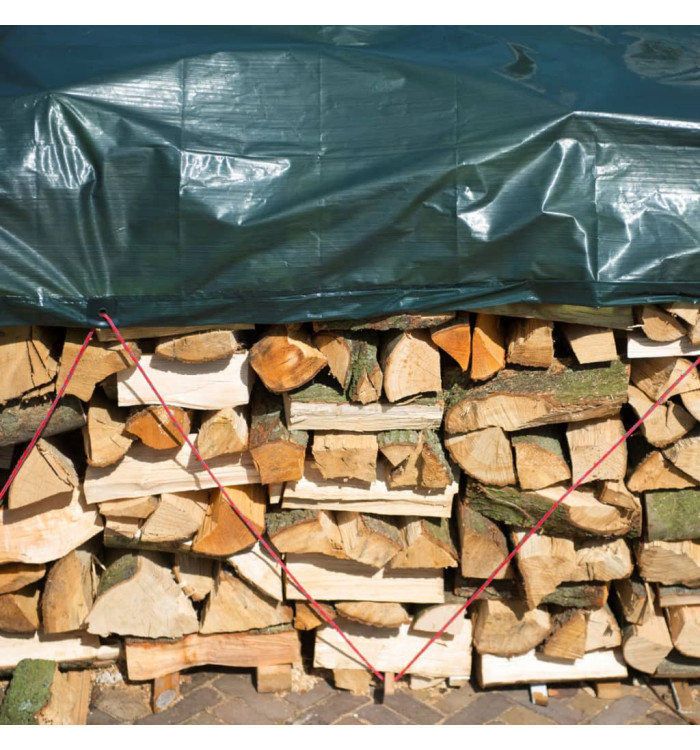 Nature Bâche à bois de chauffage 3x4 m PE Vert | Mobilier & Déco