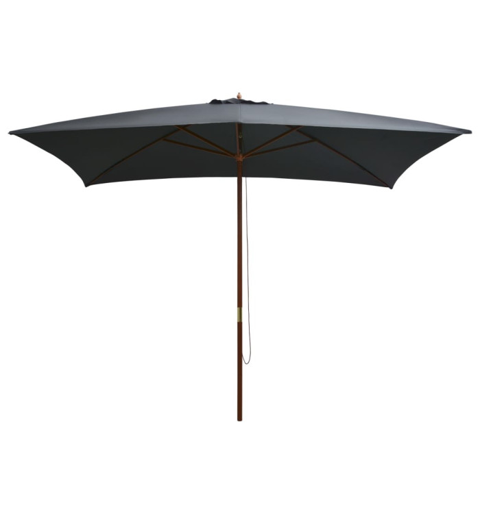 Parasol d'extérieur avec mât en bois 200x300 cm anthracite | Mobilier & Déco