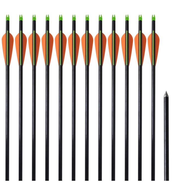 Flèche d'arc à poulies standard 12pcs 30" 0,8 cm fibre de verre | Mobilier & Déco
