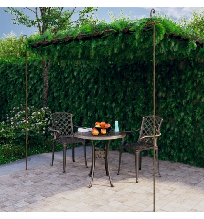 Pergola de jardin Marron antique 4x3x2,5 m Fer | Mobilier & Déco