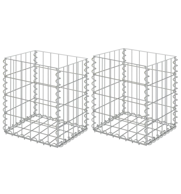 Paniers de gabion 2 pcs Acier galvanisé 30x30x40 cm | Mobilier & Déco
