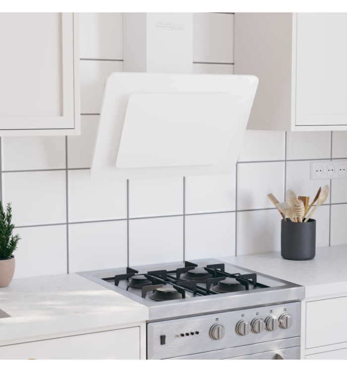 Hotte murale 60 cm Acier inoxydable et verre trempé Blanc | Mobilier & Déco