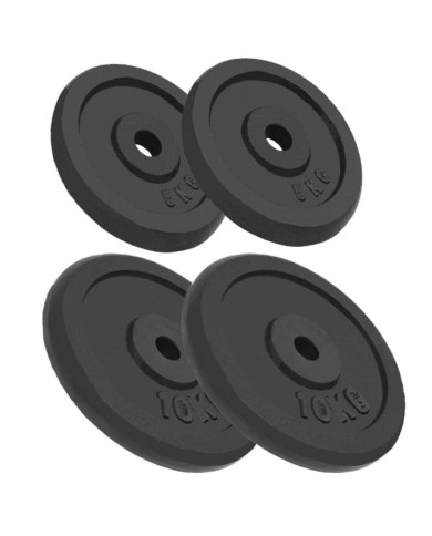 Plaque de poids 4 pcs 2 x 10 kg + 2 x 5 kg Fonte | Mobilier & Déco