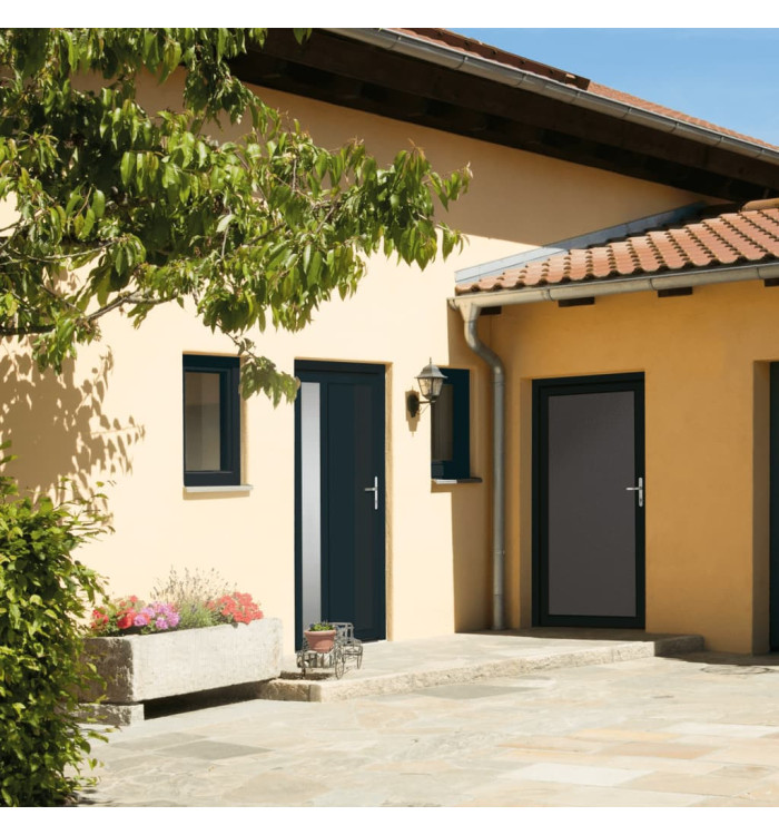 Porte d'entrée anthracite 98x208 cm PVC | Mobilier & Déco