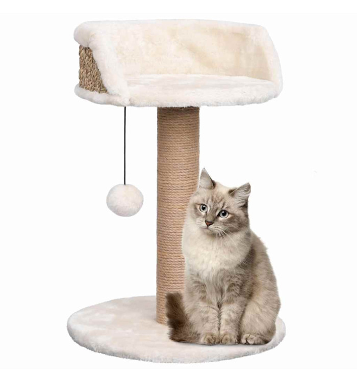 Arbre à chat avec griffoirs 49 cm Herbiers marins | Mobilier & Déco