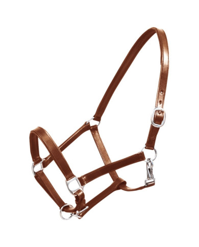 Licol Licou en cuir réglable pour écurie Cheval Marron | Mobilier & Déco