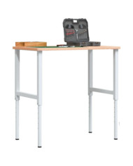 Cadres d'établi réglables 2 pcs Métal 55x(69-95,5) cm Gris | Mobilier & Déco